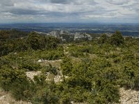 F, Bouches-du-Rhone, Saint-Remy-de-Provence, Caume 11, Saxifraga-Marijke Verhagen