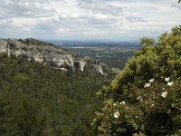 F, Bouches-du-Rhone, Saint-Remy-de-Provence, Caume 8, Saxifraga-Marijke Verhagen