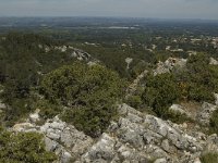 F, Bouches-du-Rhone, Saint-Remy-de-Provence, Glanum 14, Saxifraga-Marijke Verhagen