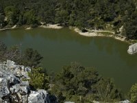 F, Bouches-du-Rhone, Saint-Remy-de-Provence, Glanum 15, Saxifraga-Marijke Verhagen