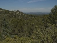 F, Bouches-du-Rhone, Saint-Remy-de-Provence, Glanum 17, Saxifraga-Marijke Verhagen