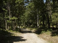 F, Bouches-du-Rhone, Saint-Remy-de-Provence, Vallon-de-Saint Clerg 2, Saxifraga-Marijke Verhagen