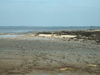 F, Bouches-du-Rhone, Saintes Maries de la Mer, Digue a la mer 11, Saxifraga-Jan van der Straaten