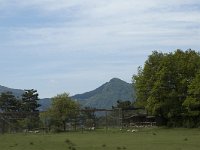 F, Drome, Chamaloc 7, Saxifraga-Marijke Verhagen