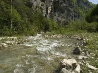 F, Drome, Glandage, Gorge des Gats 2, Saxifraga-Jan van der Straaten