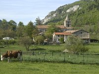 F, Drome, Leoncel, Abbaye 4, Saxifraga-Jan van der Straaten