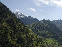 F, Drome, Lus-la-Croix-Haute, Les Fauries 2, Saxifraga-Jan van der Straaten