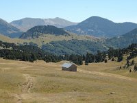 F, Drome, Treschenu-Creyers, Abri de l Essaure 4, Saxifraga-Jan van der Straaten