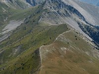 F, Drome, Treschenu-Creyers, Crete de Jiboui 3, Saxifraga-Jan van der Straaten