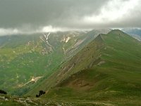 F, Drome, Treschenu-Creyers, Mont Barral 4, Saxifraga-Willem van Kruijsbergen