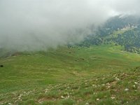 F, Drome, Treschenu-Creyers, Mont Barral 5, Saxifraga-Willem van Kruijsbergen