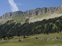 F, Drome, Treschenu-Creyers, Ranconnet 2, Saxifraga-Willem van Kruijsbergen