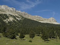 F, Drome, Treschenu-Creyers, Ranconnet 3, Saxifraga-Willem van Kruijsbergen