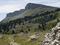 F, Drome, Treschenu-Creyers, Ranconnet 4, Saxifraga-Willem van Kruijsbergen