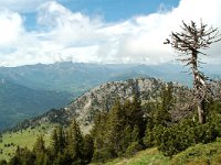 F, Drome, Treschenu-Creyers, Rocher de la Fenetre 3, Saxifraga-Willem van Kruijsbergen