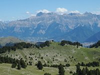 F, Drome, Treschenu-Creyers, Vallon de Combeau 19, Saxifraga-Jan van der Straaten