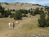 F, Drome, Treschenu-Creyers, Vallon de Combeau 25, Saxifraga-Jan van der Straaten