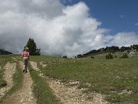 F, Drome, Treschenu-Creyers, Vallon de Combeau 35, Saxifraga-Jan van der Straaten