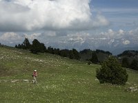 F, Drome, Treschenu-Creyers, Vallon de Combeau 40, Saxifraga-Jan van der Straaten