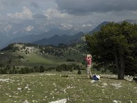 F, Drome, Treschenu-Creyers, Vallon de Combeau 42, Saxifraga-Marijke Verhagen