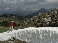 F, Drome, Treschenu-Creyers, Vallon de Combeau 45, Saxifraga-Marijke Verhagen