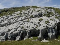 F, Drome, Treschenu-Creyers, Vallon de Combeau 48, Saxifraga-Willem van Kruijsbergen