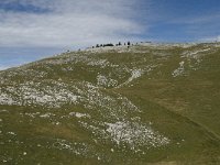 F, Drome, Treschenu-Creyers, Vallon de Combeau 50, Saxifraga-Willem van Kruijsbergen