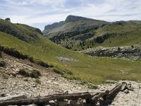 F, Drome, Treschenu-Creyers, Vallon de Combeau 58, Saxifraga-Willem van Kruijsbergen