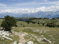 F, Drome, Treschenu-Creyers, Vallon de Combeau 69, Saxifraga-Willem van Kruijsbergen