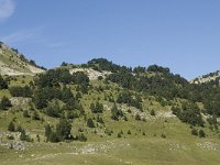 F, Drome, Treschenu-Creyers, Vallon de Combeau 74, Saxifraga-Willem van Kruijsbergen