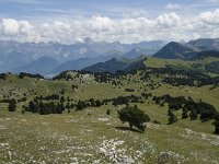 F, Drome, Treschenu-Creyers, Vallon de Combeau 78, Saxifraga-Willem van Kruijsbergen