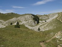 F, Drome, Treschenu-Creyers, Vallon de Combeau 81, Saxifraga-Willem van Kruijsbergen