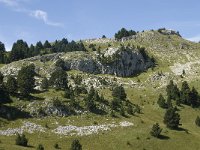 F, Drome, Treschenu-Creyers, Vallon de Combeau 82, Saxifraga-Willem van Kruijsbergen