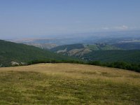 F, Gard, Dourbies, Mont Aigoual 2, Saxifraga-Dirk Hilbers