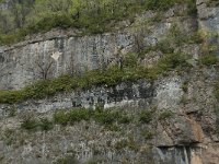 F, Gard, Treves, Gorges du Trevezel 6, Saxifraga-Willem van Kruijsbergen