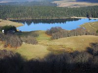 F, Gard, Valleraugue, Esperou, Lac des Pises 1, Saxifraga Elisabeth Raboin