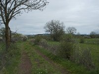 F, Haute-Loire, Cayres 3, Saxifraga-Willem van Kruijsbergen