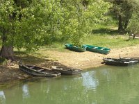 F, Haute-Marne, Bannes, Lac de Bannes 1, Saxifraga-Hans Dekker