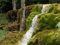 F, Haute-Marne, Rouvres-sur-Aube, Cascade d Etufs Rouvres 2, Saxifraga-Hans Dekker