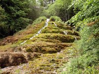 F, Haute-Marne, Rouvres-sur-Aube, Cascade d Etufs Rouvres 3, Saxifraga-Hans Dekker