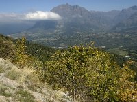 F, Hautes-Alpes, Noyer, Col du Noyer 11, Saxifraga-Jan van der Straaten