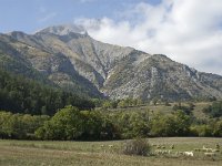 F, Hautes-Alpes, Noyer, Tete de Claudel 1, Saxifraga-Jan van der Straaten