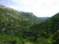 F, Herault, Saint-Maurice-Navacelles, Gorge de la Vis 9, Saxifraga-Dirk Hilbers