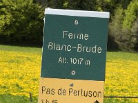 F, Isere, Autrans, Ferme Blanc-Brude 1, Saxifraga-Jan van der Straaten