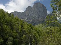 F, Isere, Chateau-Bernard 2, Saxifraga-Jan van der Straaten