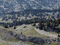 F, Isere, Chichilianne, Refuge du Pas de l Aiguille 1, Saxifraga-Jan van der Straaten