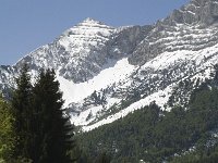 F, Isere, Gresse-en-Vercors, Aiguilette 2, Saxifraga-Jan van der Straaten