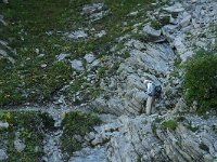 F, Isere, Gresse-en-Vercors, Balcon Est 11, Saxifraga-Marijke Verhagen