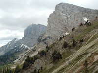 F, Isere, Gresse-en-Vercors, Balcon Est 8, Saxifraga-Willem van Kruijsbergen