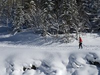 F, Isere, Gresse-en-Vercors, Barrage 2, Saxifraga-Jan van der Straaten